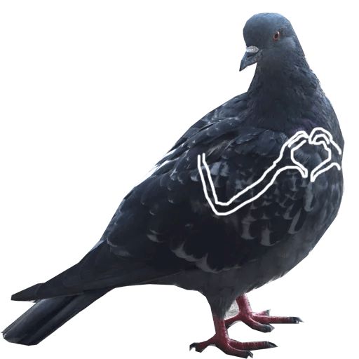 Sticker «Pigeon With Hands-3»