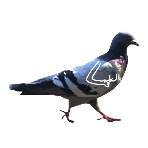 Sticker «Pigeon With Hands-4»