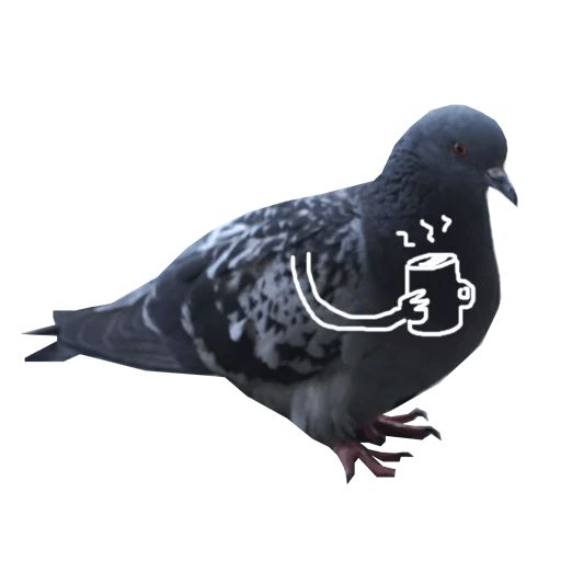Sticker «Pigeon With Hands-5»