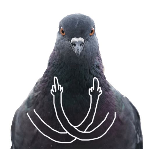 Sticker «Pigeon With Hands-6»