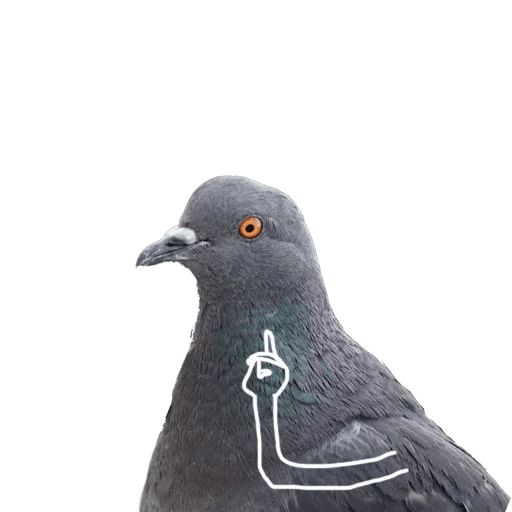 Sticker «Pigeon With Hands-8»