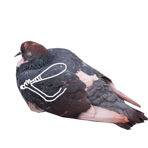 Sticker «Pigeon With Hands-9»