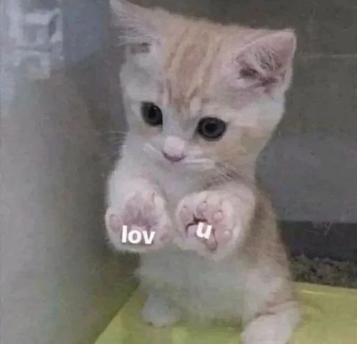 Sticker «Cute cats-2»