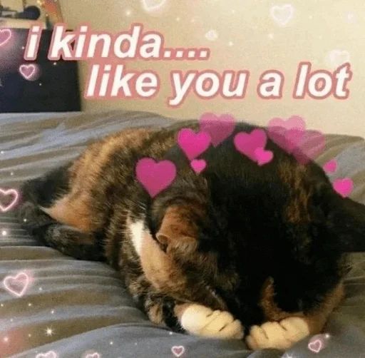 Sticker «Cute cats-6»