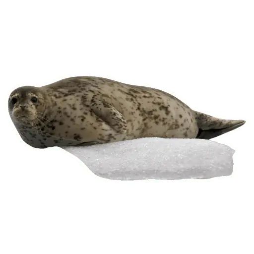 Sticker «Lazy Seals-3»