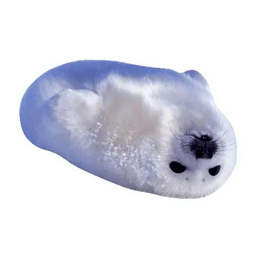 Sticker «Lazy Seals-5»