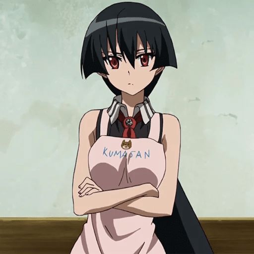 Sticker «Akame ga Kill-1»