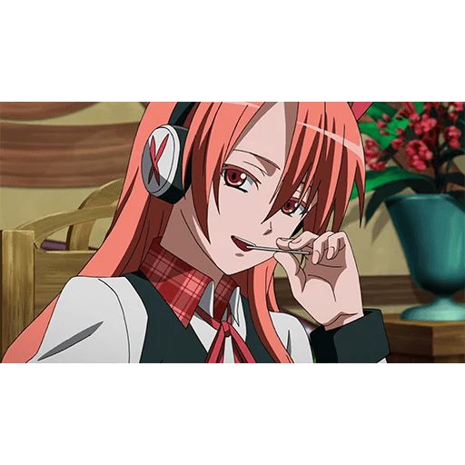 Sticker «Akame ga Kill-12»