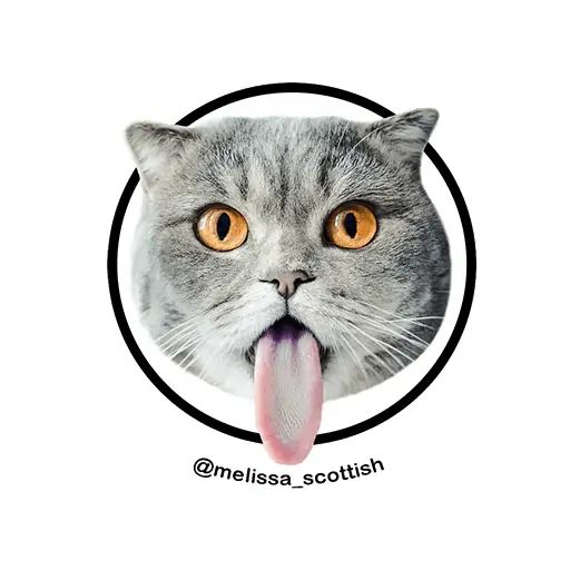 Sticker «Melissa-1»