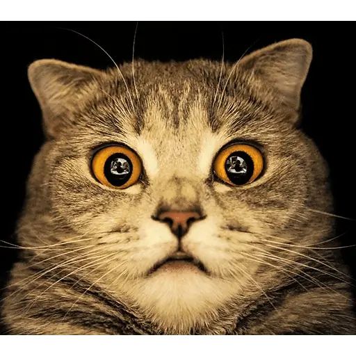 Sticker «Melissa-11»