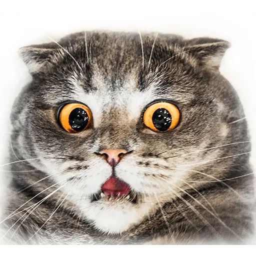 Sticker «Melissa-3»