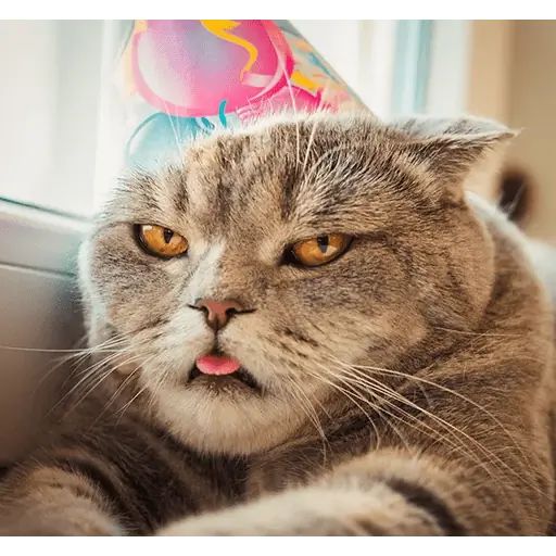 Sticker «Melissa-5»