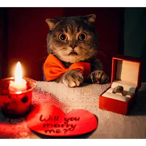 Sticker «Melissa-7»