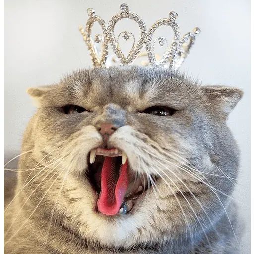 Sticker «Melissa-8»