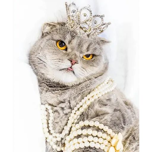 Sticker «Melissa-9»