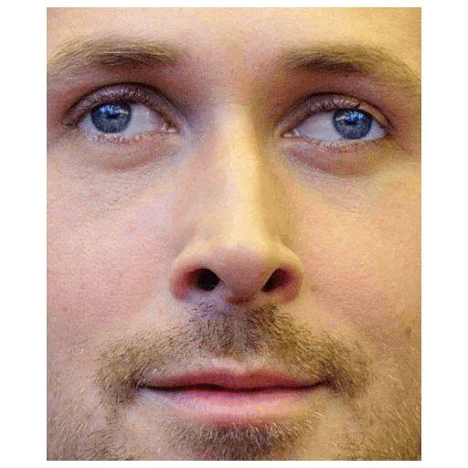 Sticker «Gosling-11»