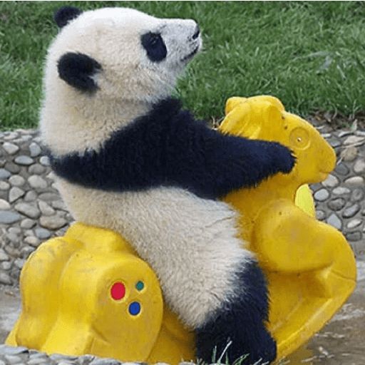 Sticker «Lazy Panda-11»