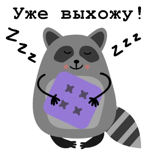 Sticker «Raccoon Nikita-12»