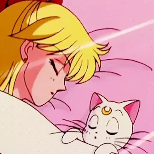 Sticker «Sailor Moon-11»