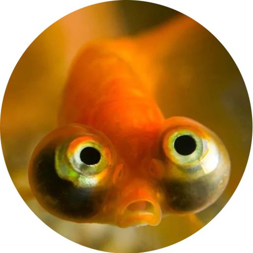 Стикер «Я рыба ало-1»