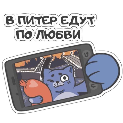 Sticker «Fly The Cat-8»