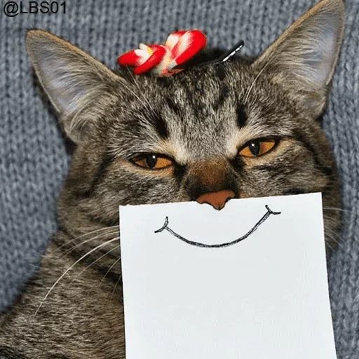 Sticker «Cats Rule the World-5»