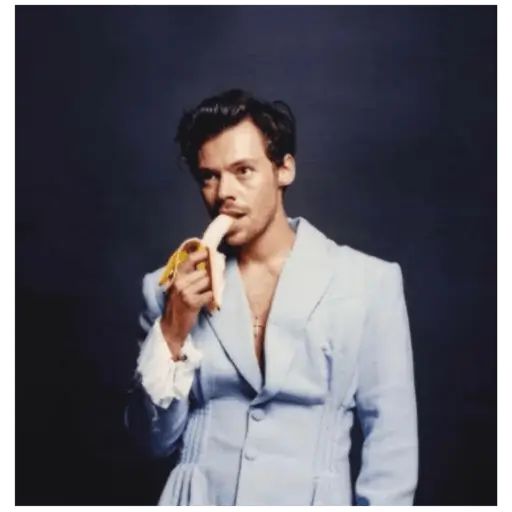 Sticker «Harry Styles-1»