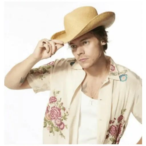Sticker «Harry Styles-12»