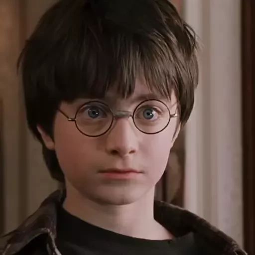 Sticker «Garry Potter-12»
