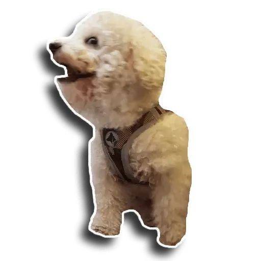 Sticker «Caesar-10»