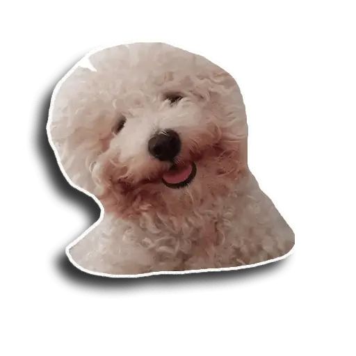 Sticker «Caesar-11»