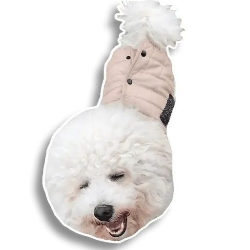 Sticker «Caesar-2»