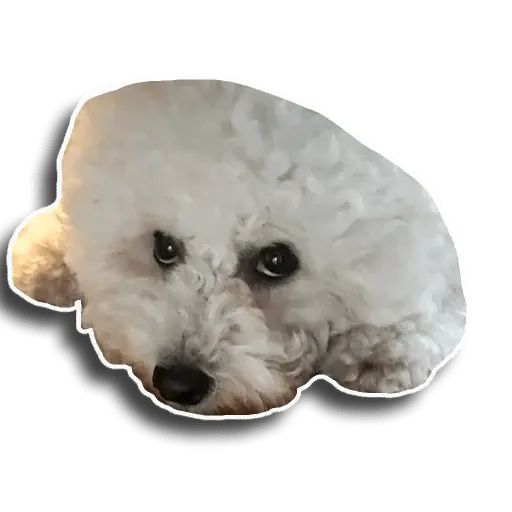 Sticker «Caesar-5»