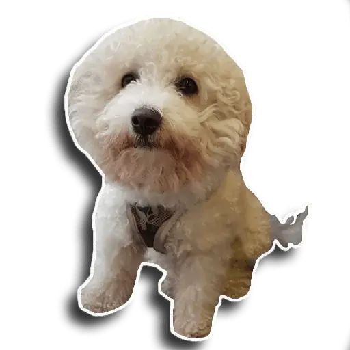 Sticker «Caesar-7»