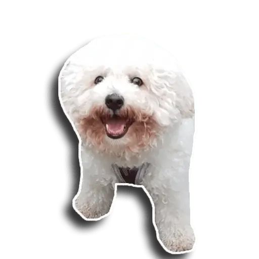 Sticker «Caesar-8»