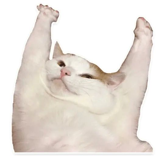 Sticker «Kitties-12»