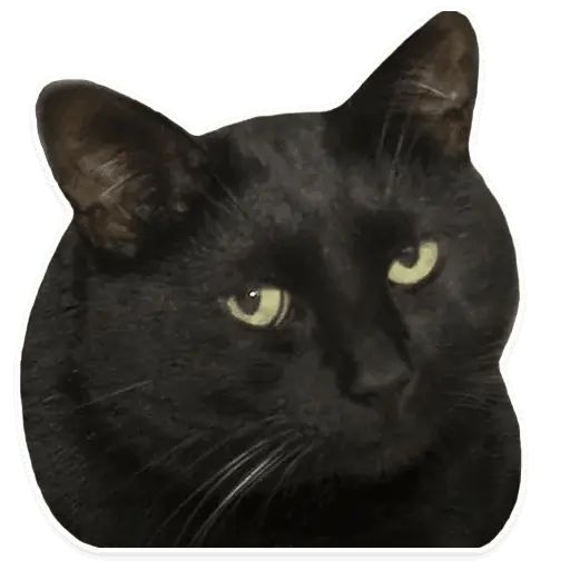 Sticker «Kitties-7»