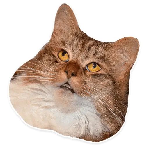 Sticker «Kitties-8»