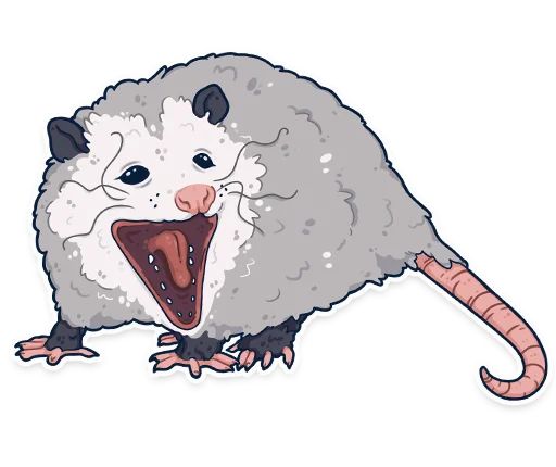 Sticker «Awesome Possum-3»
