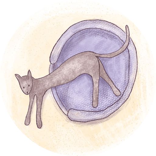 Sticker «Cats in Circle-11»