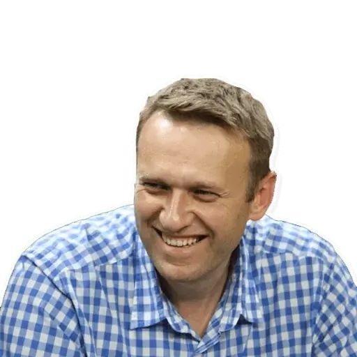 Sticker «Navalny-2»