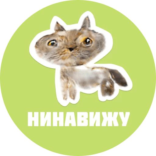 Стикер «Жуткие Коты-1»