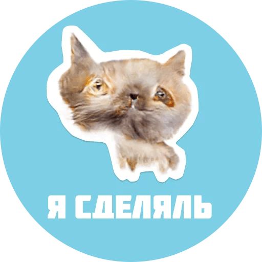 Стикер «Жуткие Коты-7»