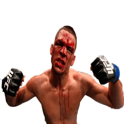 Sticker «UFC-5»