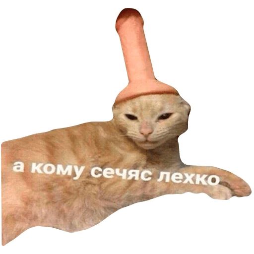 Sticker «Sad cats-7»